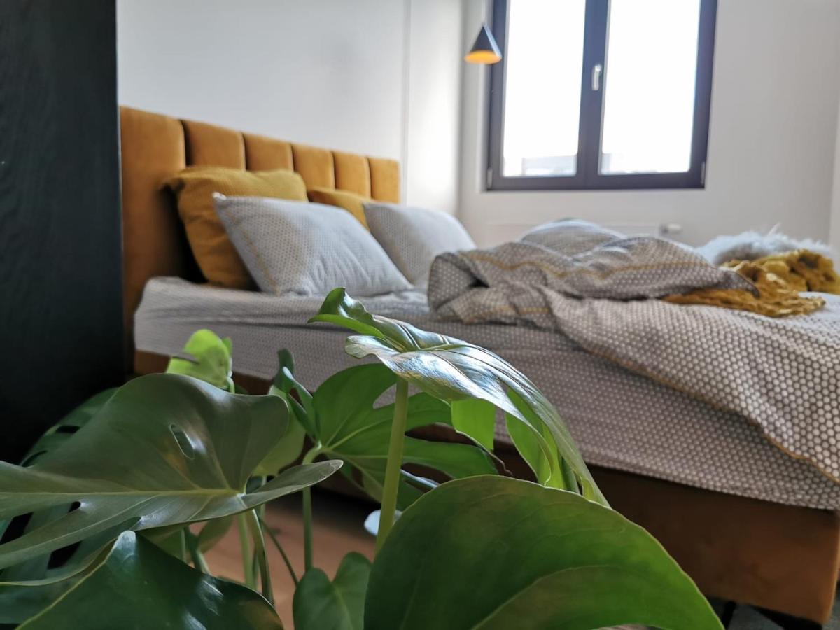 The Penthouse, Oasis Of Light And Inspiration Lejlighed Antwerpen Eksteriør billede